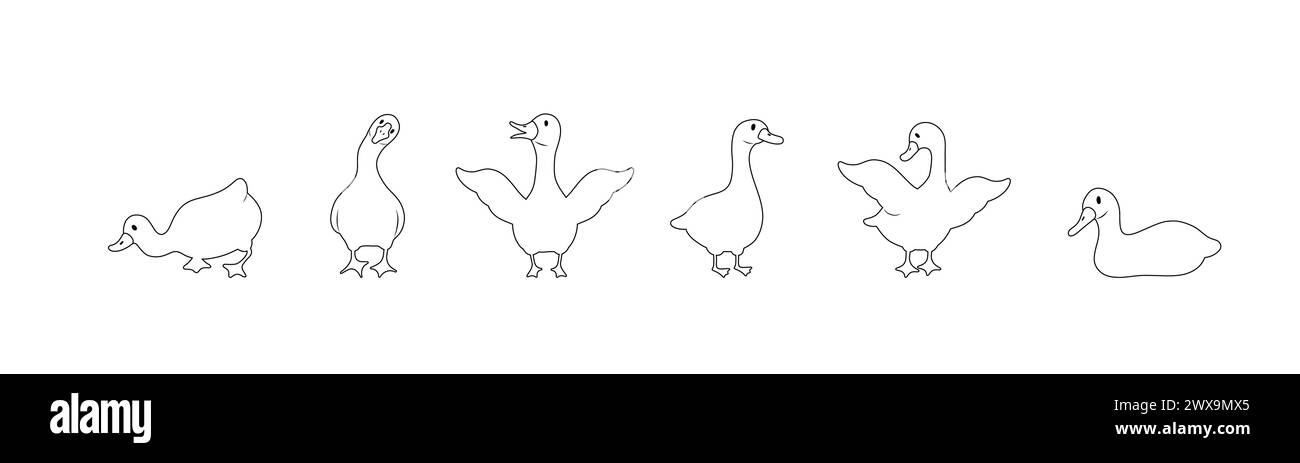 Set aus linearer Gänse-Silhouette. Haus- und Wildenten auf weißem Hintergrund. Landwirtschaftliche Vögel auf dem Bauernhof. Ländliche Tierwelt. Handgezeichneter Druck. Vektor Stock Vektor
