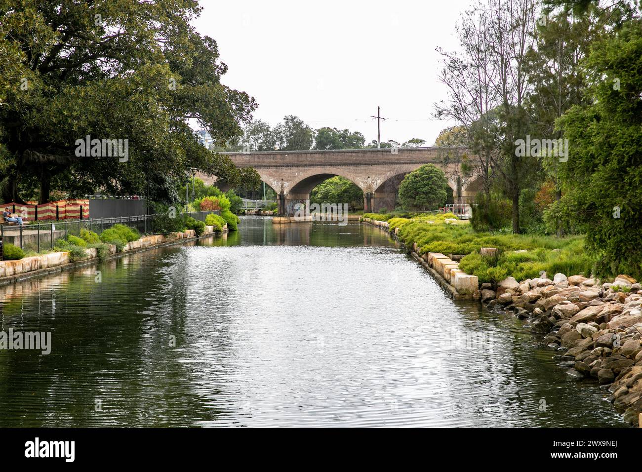 Glebe, Sydney, Johnstons Creek und Feuchtgebiete, die sich dem denkmalgeschützten Eisenbahnviadukt nähern, führen durch die Glebe and Wentworth Park Railway, Australien Stockfoto