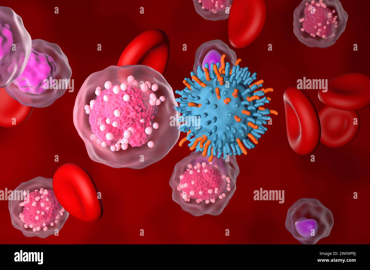 CAR-T-Zell-Therapie bei akuter lymphatischer Leukämie (ALL) - Nahaufnahme 3D-Illustration Stockfoto