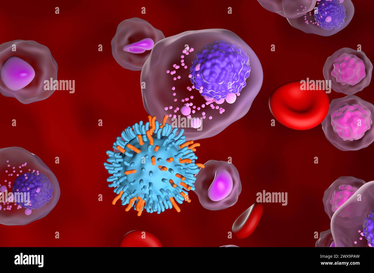 CAR-T-Zell-Therapie beim multiplen Myelom (MM) - Nahaufnahme 3D-Illustration Stockfoto