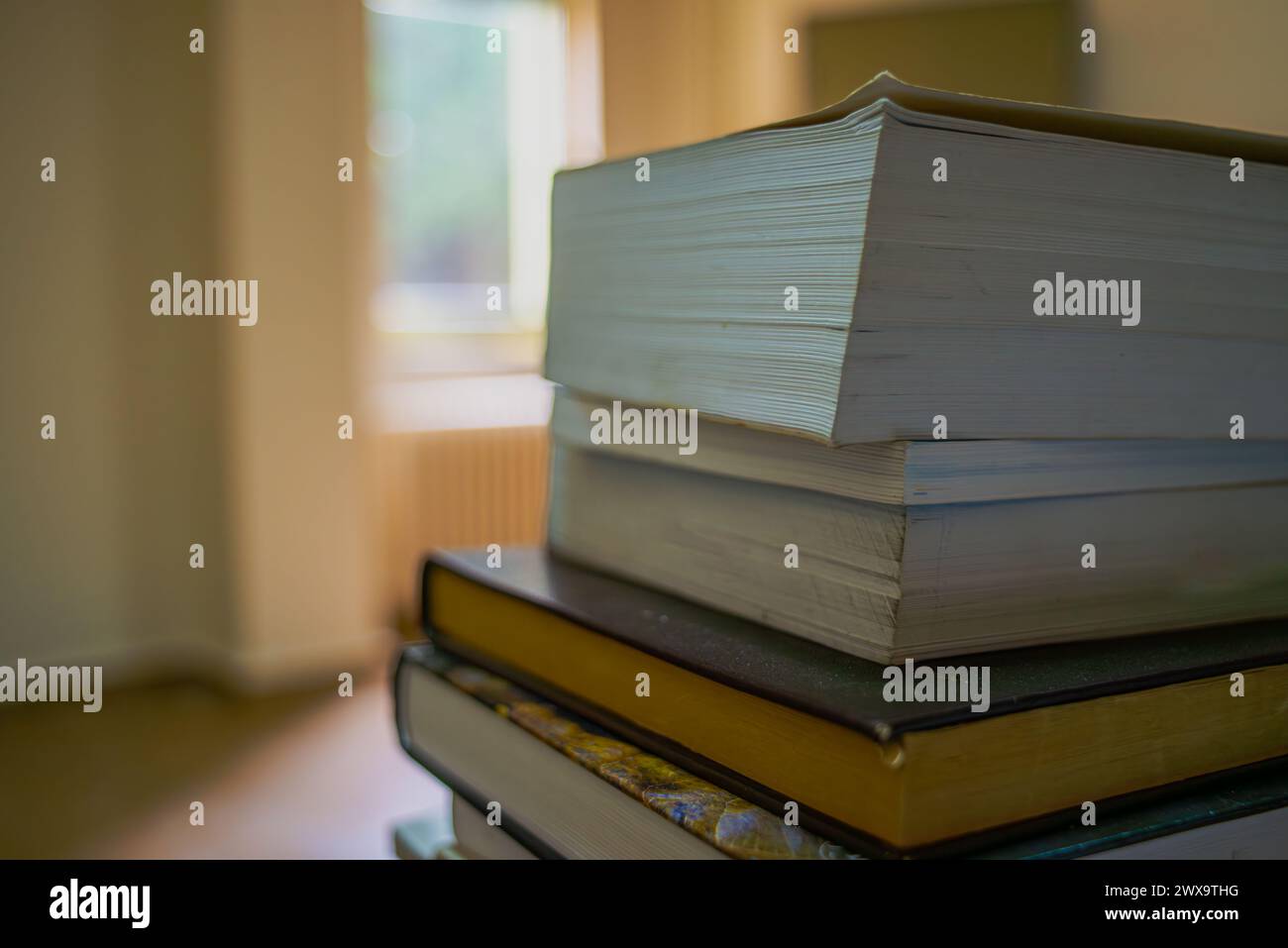 Eine kuratierte Sammlung von Büchern auf dem Schreibtisch schafft einen organisierten und inspirierenden literarischen Raum für Studium und intellektuelle Aktivitäten. Stockfoto