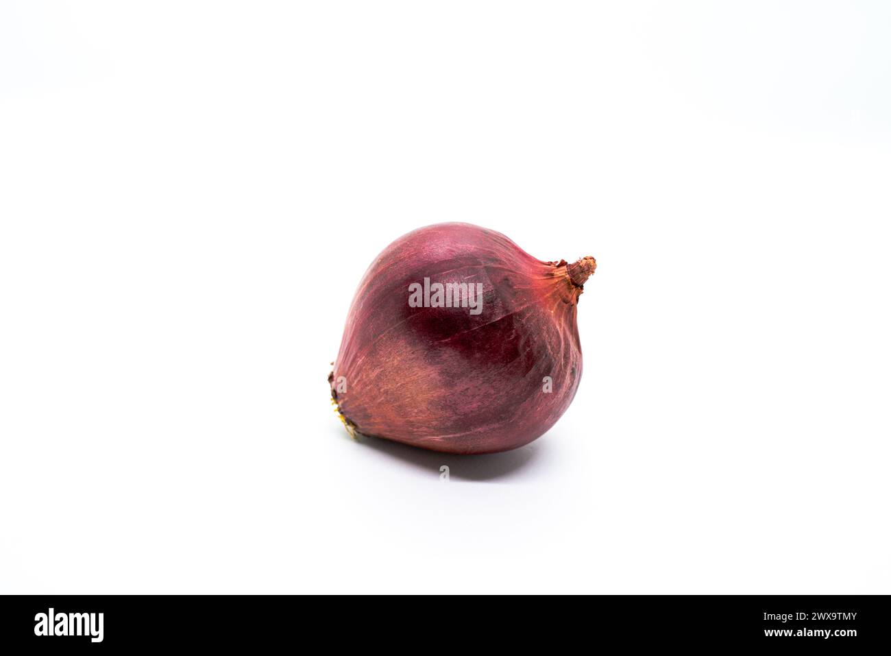 Auf dem weißen Purpleonion-Untergrund wird eine frische, rohe violette Zwiebeln angezeigt, die das kulinarische Potenzial symbolisieren und den Gerichten eine lebendige Farbe verleihen. Stockfoto