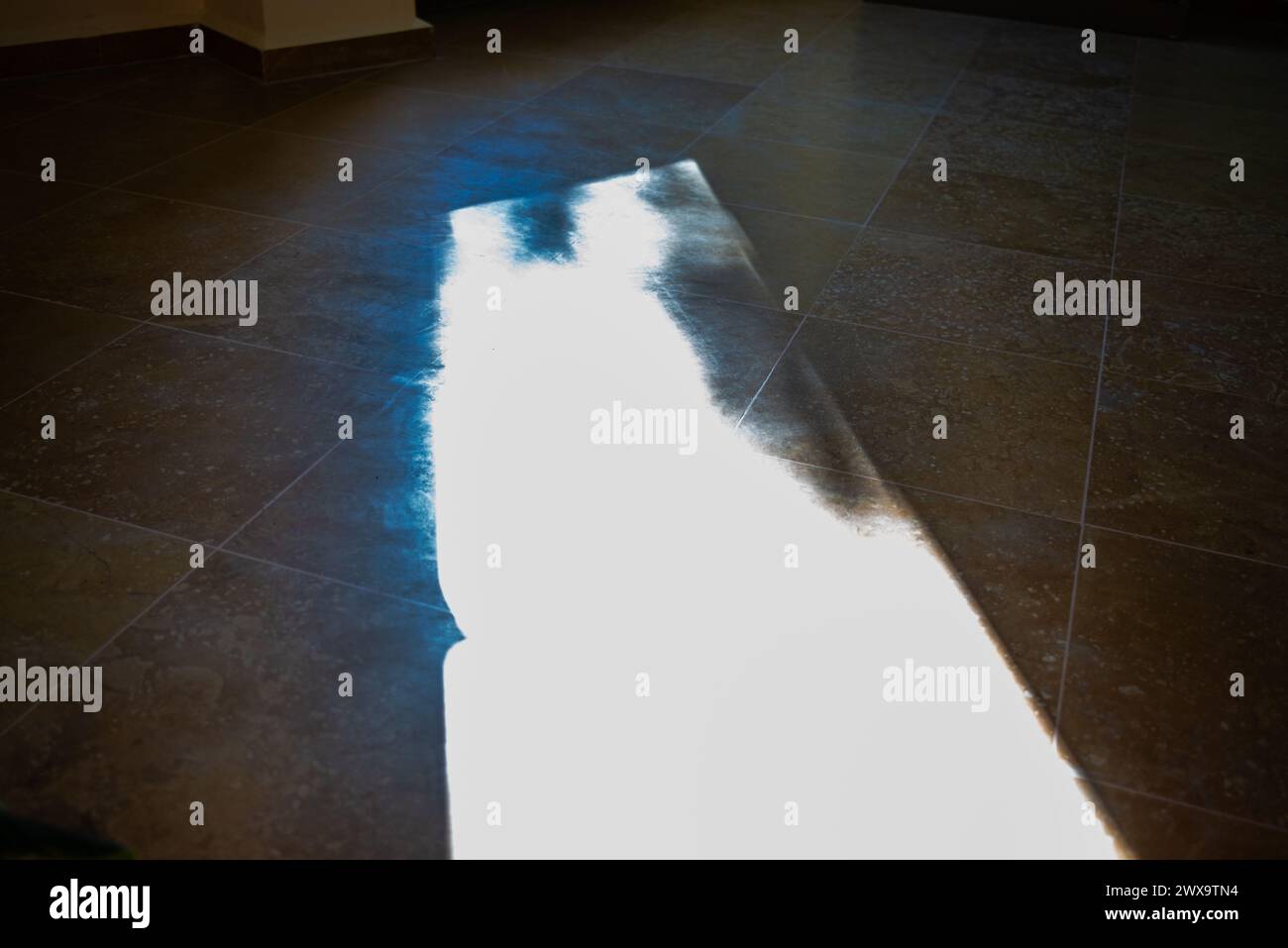 Das Sonnenlicht im Haus bringt Wärme und Helligkeit in den Innenraum und schafft eine gemütliche und einladende Atmosphäre voller natürlicher Schönheit. Stockfoto