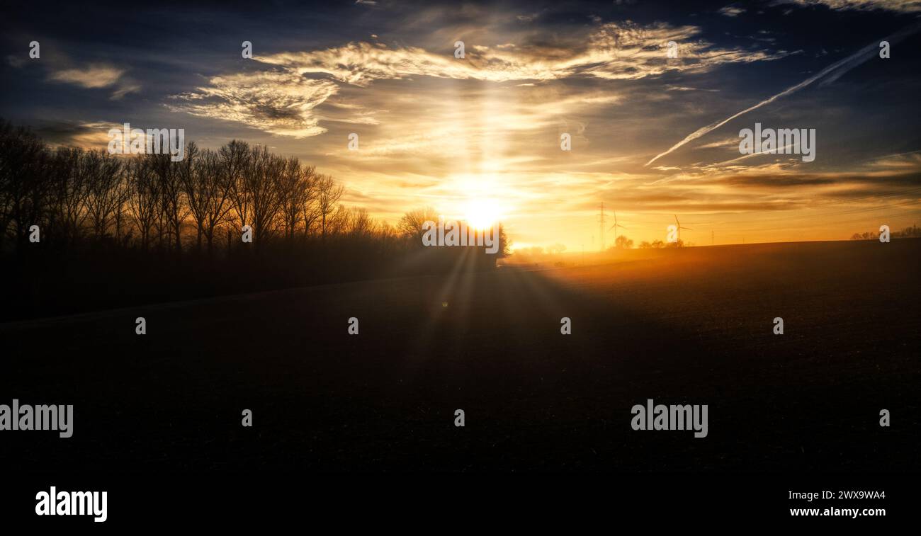 Sonnenaufgang Sonnenstrahlen Baum Stockfoto