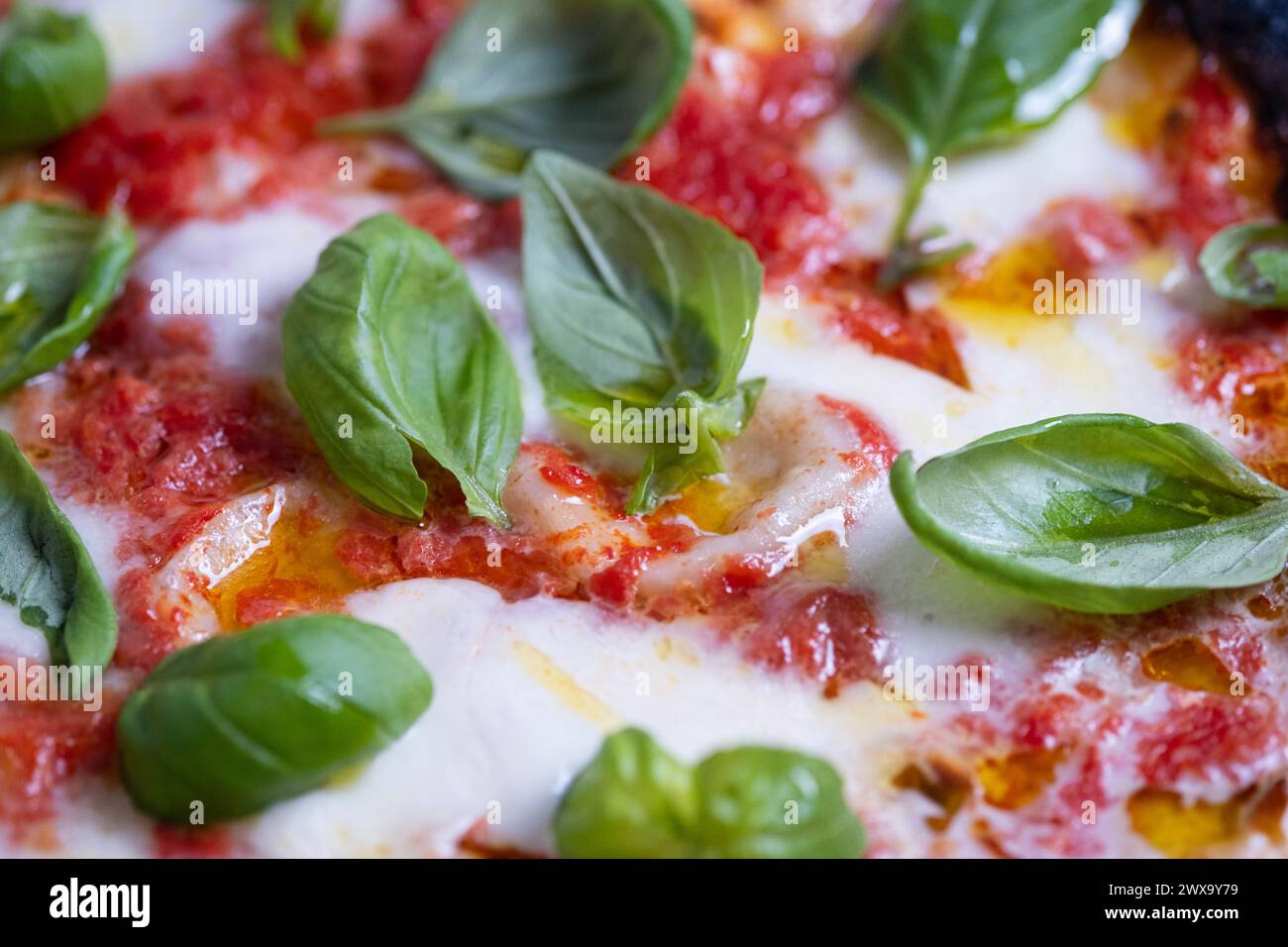 Pizza mit Tomaten, Mozzarella und Basilikum Stockfoto