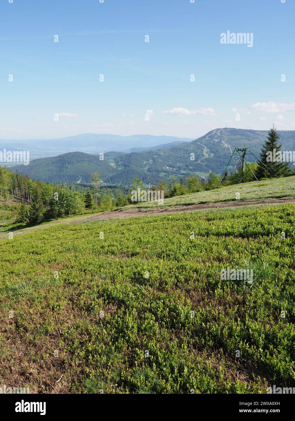 Blick von Klimczok 1117 m in Schlesischen Beskiden in der Nähe der europäischen Stadt Bielsko-Biala, Polen, klarer blauer Himmel an 2018 warmen sonnigen Frühlingstag im Mai - vertikal Stockfoto
