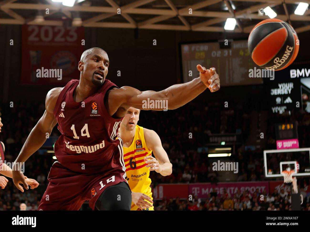 28.03.2024, Euroleague Basketball, FC Bayern Basketball vs FC Barcelona Basketball, BMW Park, München, im Bild: Serge Ibaka FCB Basketball und Jan Vesely FC Barcelona Basket *** 28 03 2024, Euroleague Basketball, FC Bayern Basketball vs FC Barcelona Basketball, BMW Park, München, im Bild Serge Ibaka FCB Basketball und Jan Vesely FC Barcelona Basket Stockfoto