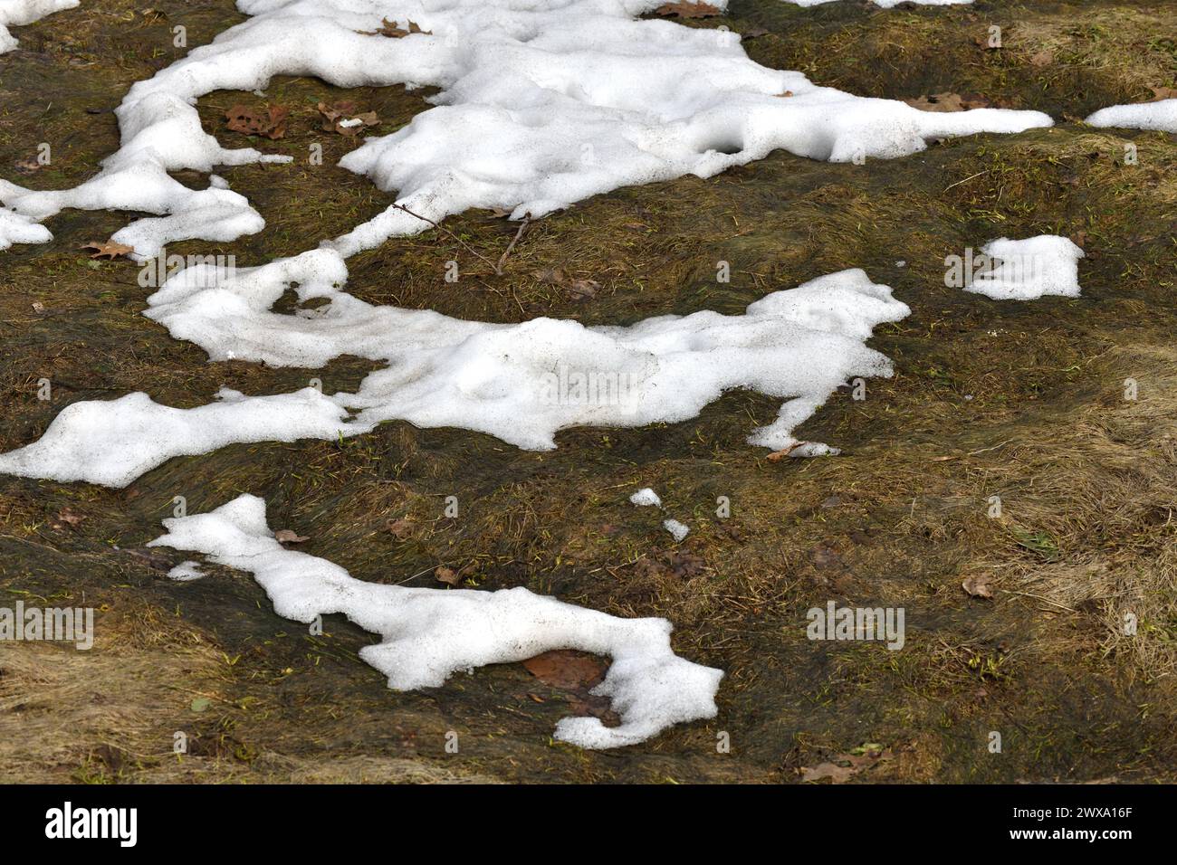Schneeaufgetaute Gebiete im frühen Frühjahr Stockfoto