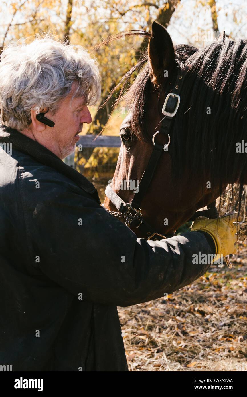 Mann draußen mit braunem Kastanienpferd in Herbstzeit Stockfoto