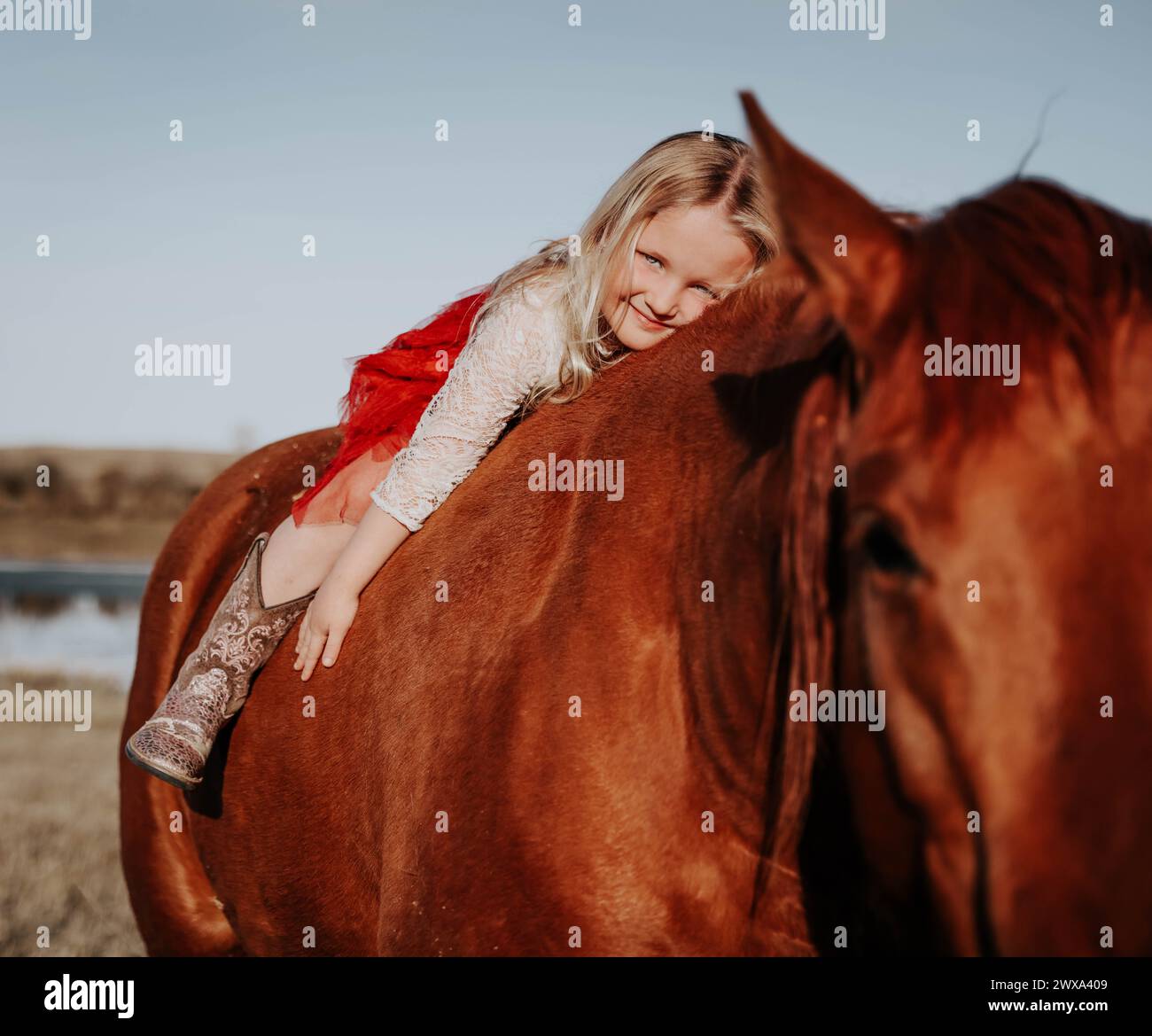 Blondes Charm: Das 4-jährige Mädchen und ihr Horse Forge Unbreakable Bond! Stockfoto