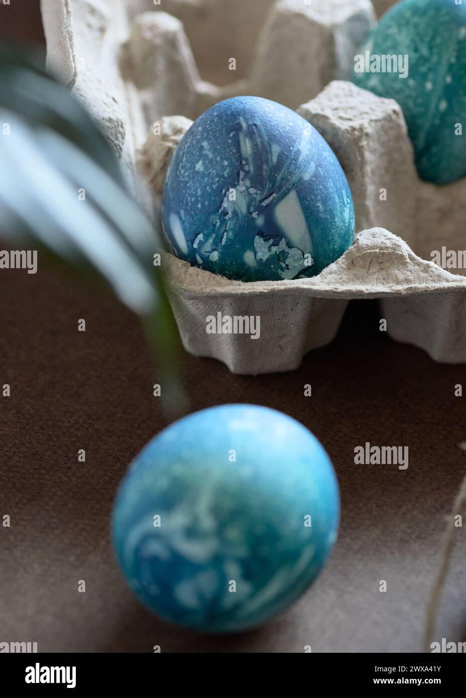 Starb blaues osterei im Karton Stockfoto