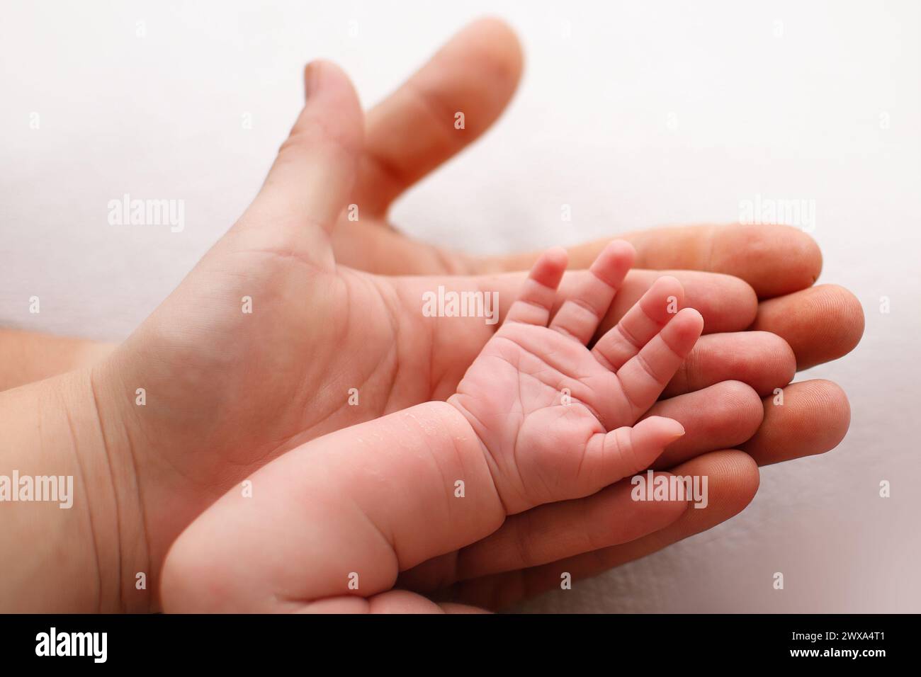 Erwachsene Hand, die eine kleine Babyhand sanft in die Hand legt Stockfoto