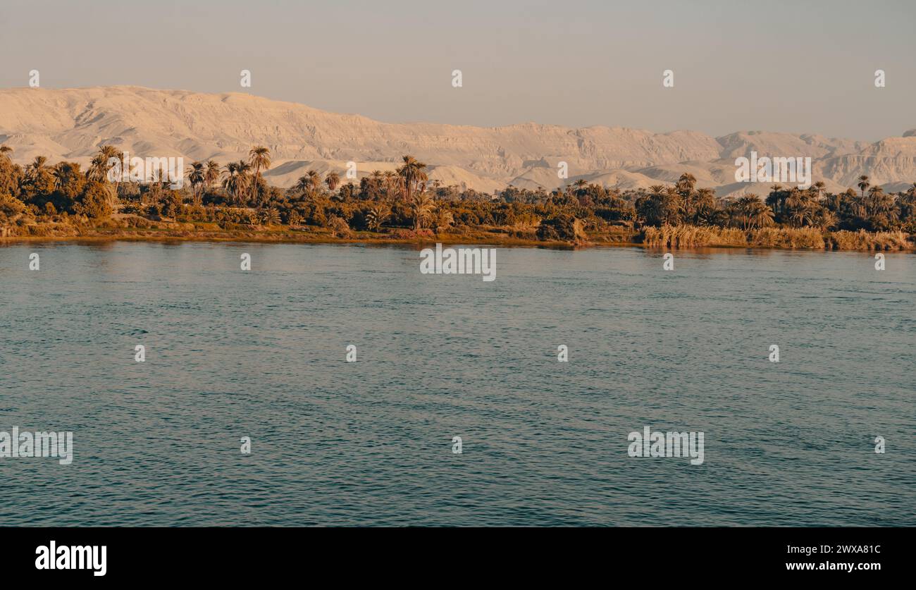 Grüne Nilbank-Landschaft in Ägypten Stockfoto