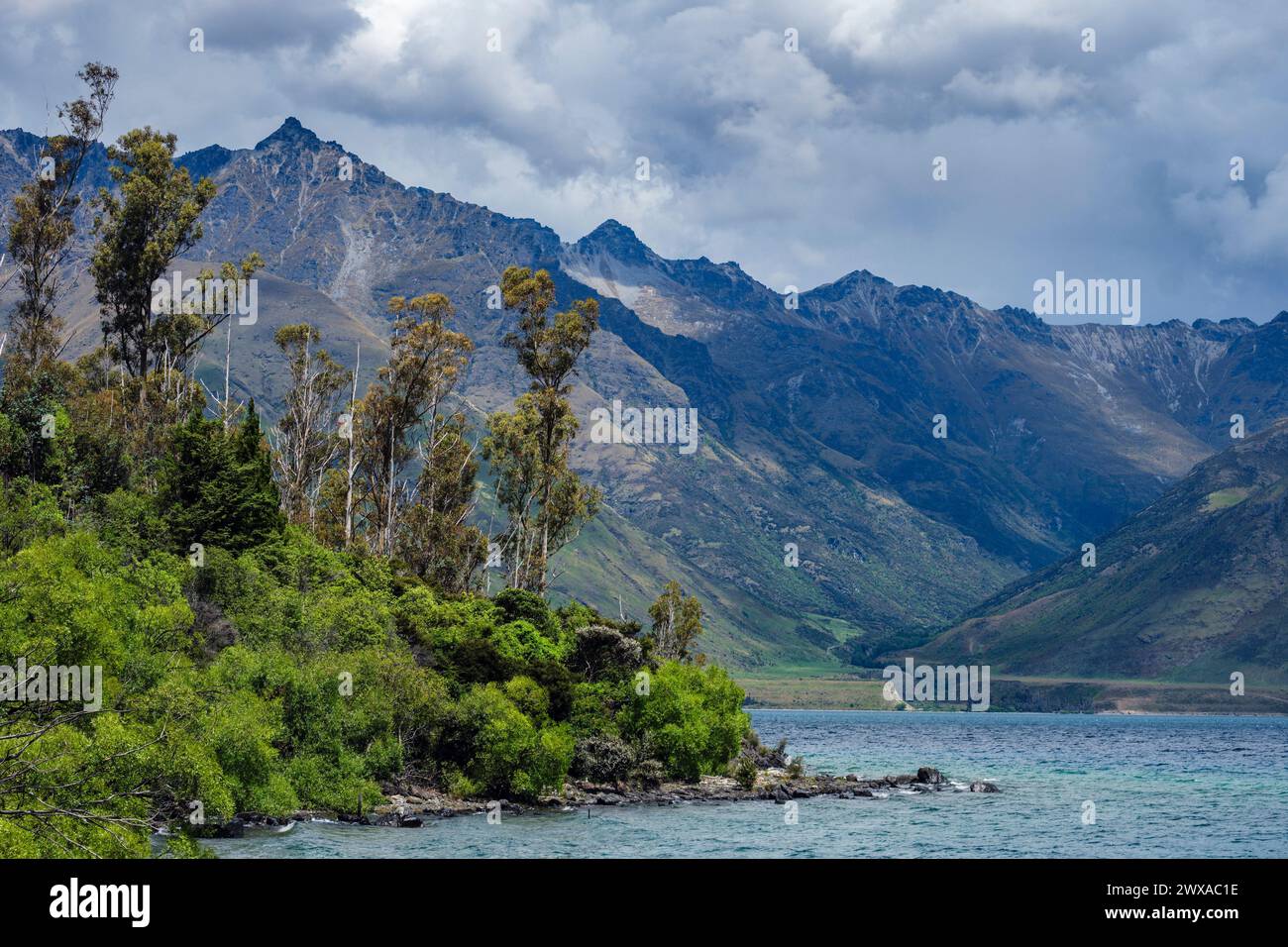 Wilson Bay, Lake Wakatipu, Otago, Südinsel, Neuseeland Stockfoto