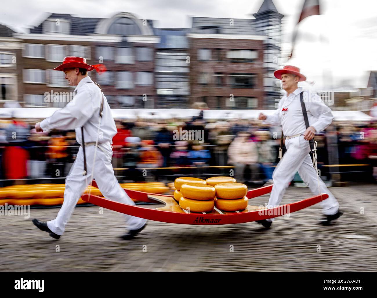 ALKMAAR - der Käse wird während der Eröffnung des ersten Käsemarktes der Saison auf dem Waagplein verkauft. ANP REMKO DE WAAL niederlande raus - belgien raus Stockfoto