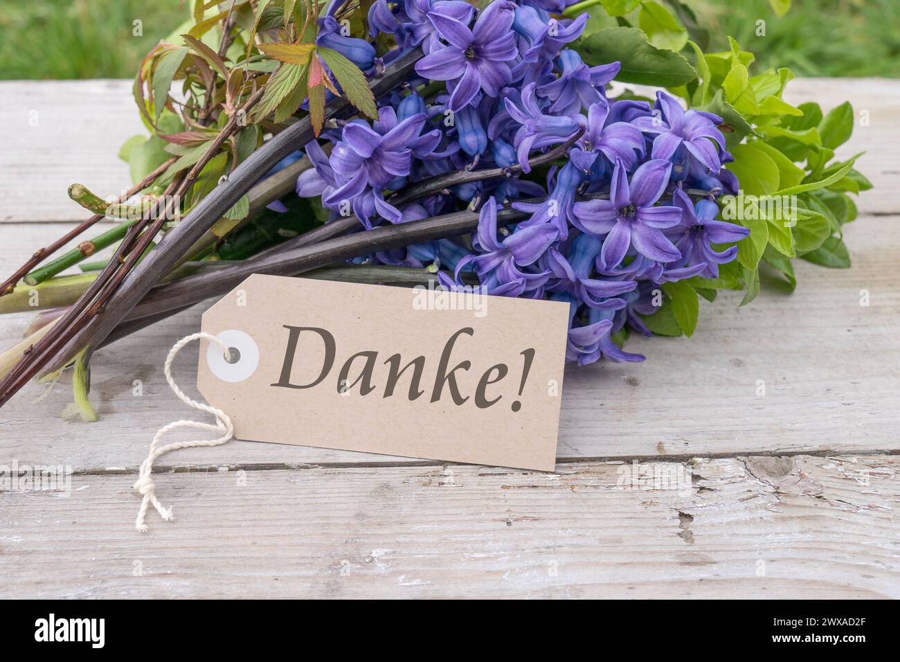 Blumenstrauß aus blauen Hyazinthen und Karte mit deutschem Text: Danke Stockfoto
