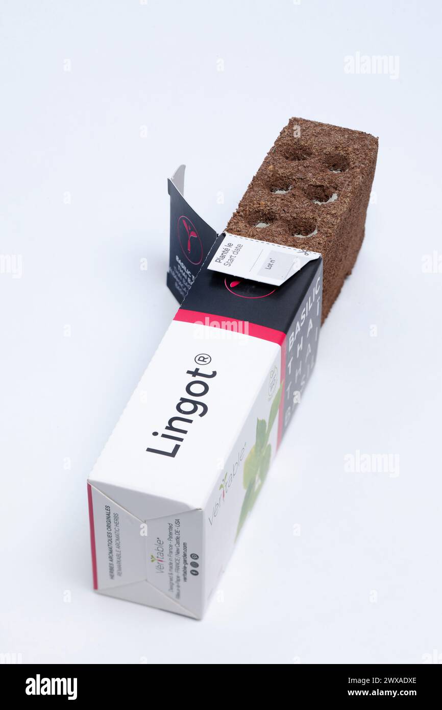 Ein patentierter, zu 100 % natürlicher, patentierter Lingot-Einsatz mit garantierter Keimfähigkeit von veritable für Smart Indoor Garden Growing Basilic Thai Basilikum Stockfoto