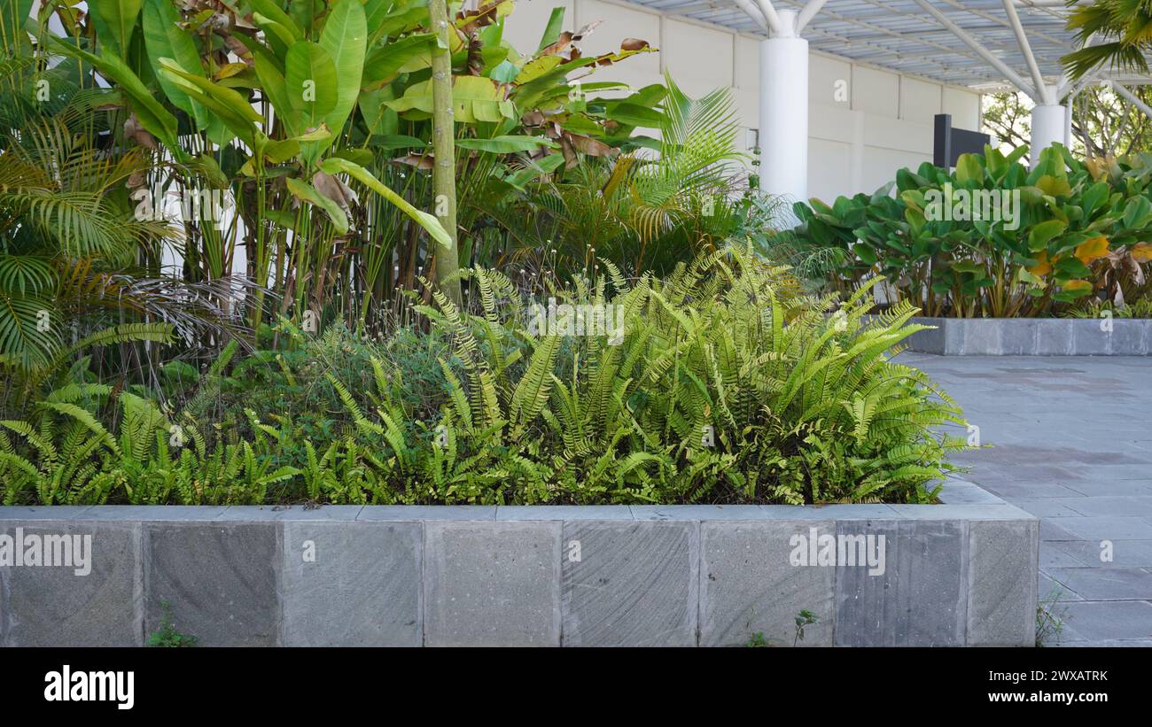 Zierpflanzen, die in Außengärten auf internationalen Flughäfen verwendet werden Stockfoto