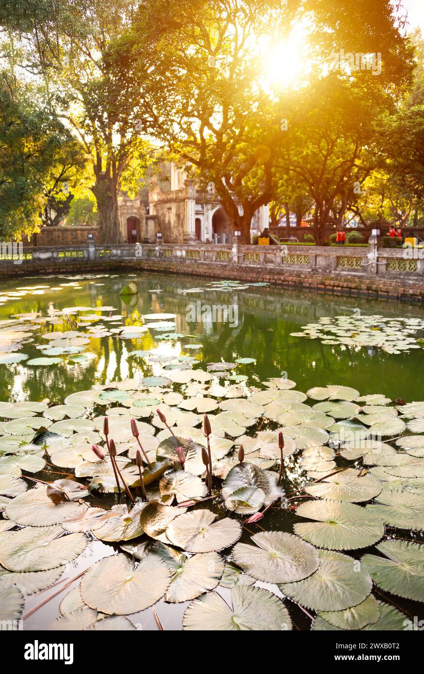 Teich am Literaturtempel in Hanoi, Vietnam Stockfoto