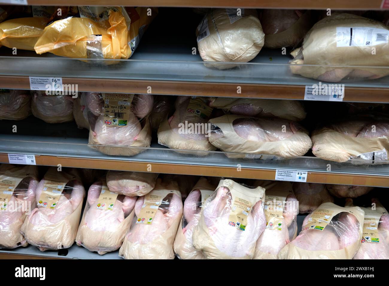 waitrose Supermarkt Filiale, Innenraum, ramsgate Town, East kent, großbritannien märz 2024 Stockfoto