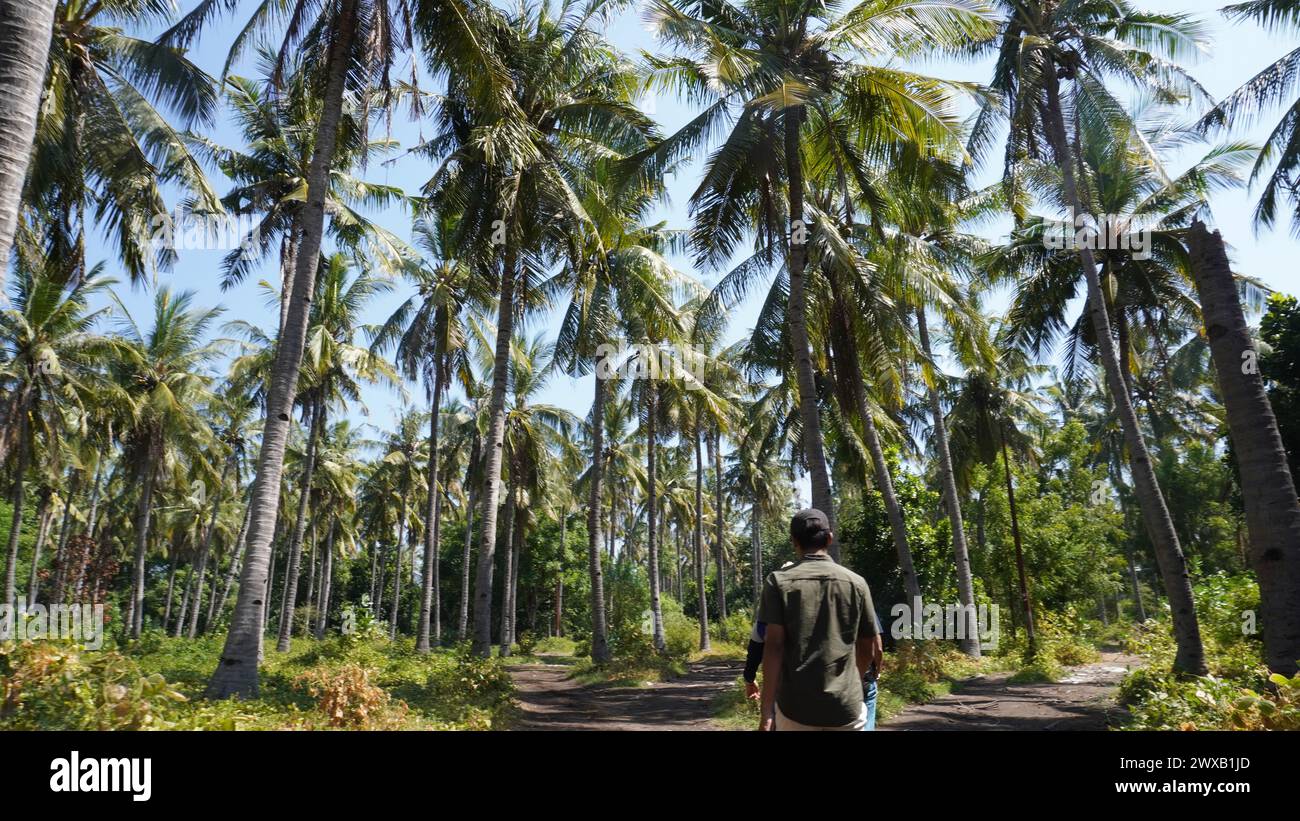 Ein Junge, der tagsüber eine Straße voller Kokospalmen läuft Stockfoto