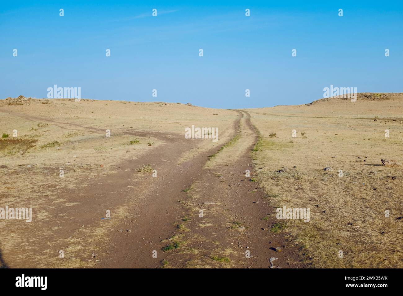 Ende August in der Inneren Mongolei, china Stockfoto