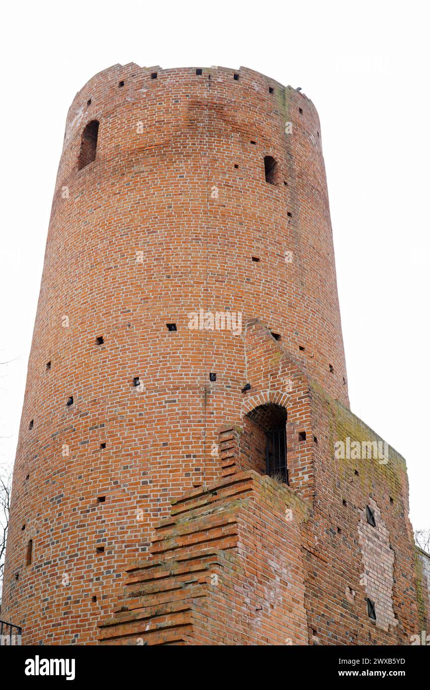 Czersk, Polen - 24. März 2024 - Rundturm auf der Burg Masowischer Herzöge Stockfoto