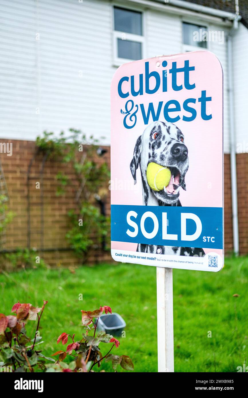 Leatherhead Surrey, Großbritannien, 29. März 2024, Cubitt and West Estate Agents verkauften House Sign Board with No People Stockfoto