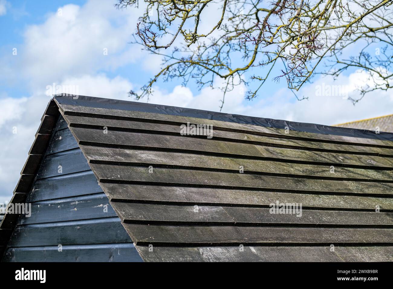 Leatherhead Surrey, Großbritannien, 29. März 2024, schwarz lackierter Holzgarten mit No People Stockfoto