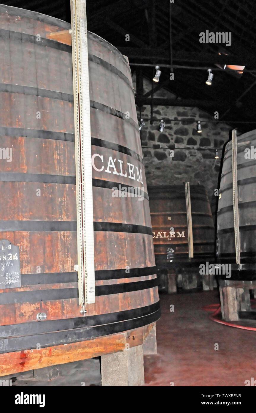 Calem, Port Winery, Vila Nova da Gaia, Porto, große Holzfässer für die Weinlagerung mit Calem-Kennzeichnung in einem Keller, Porto, Nord-Portugal Stockfoto
