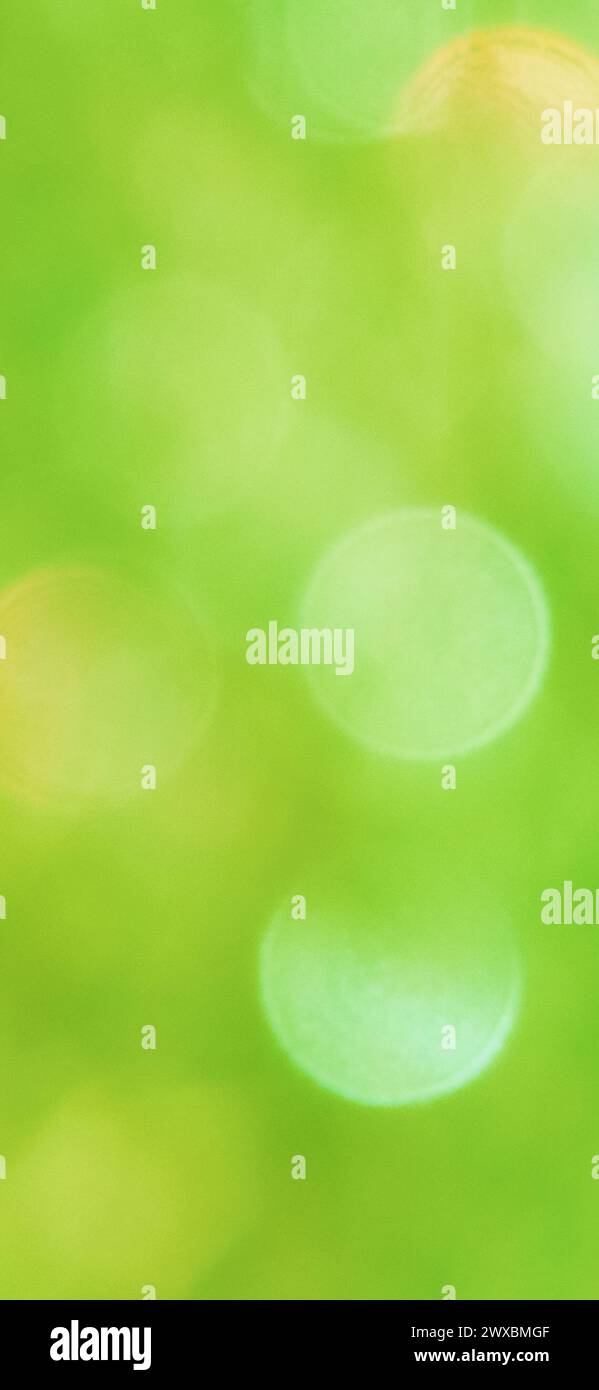 Grüne gelbe, verschwommene, funkelnde Natur-Handytapete. Frisches Frühlingsgras mit Wassertropfen Bokeh. Sonnenlicht in den Pflanzenblättern. Traumhafte Unschärfe Stockfoto