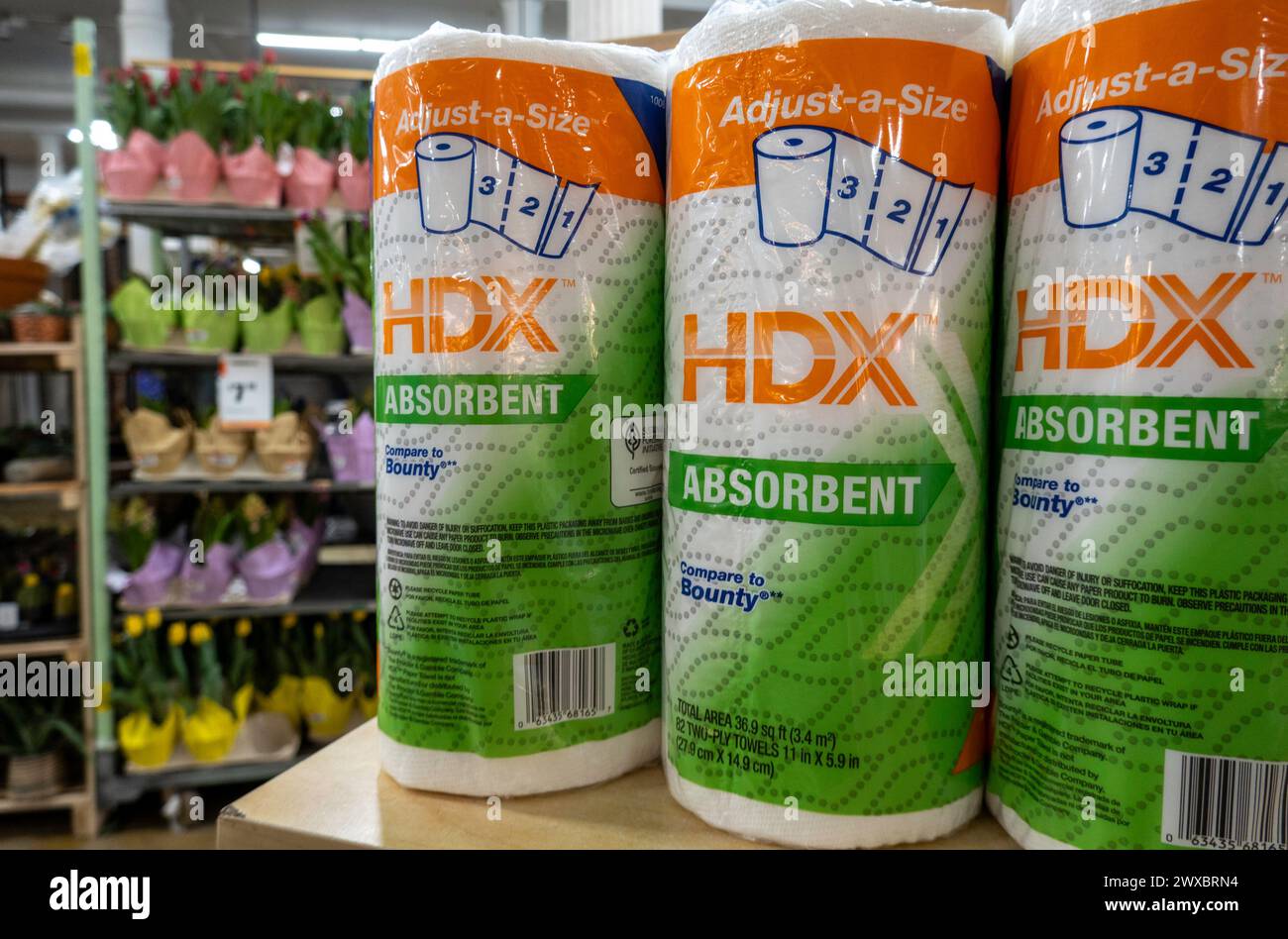 Nahaufnahme von HDX Papiertüchern im Home Depot, 2024, NYC, USA Stockfoto