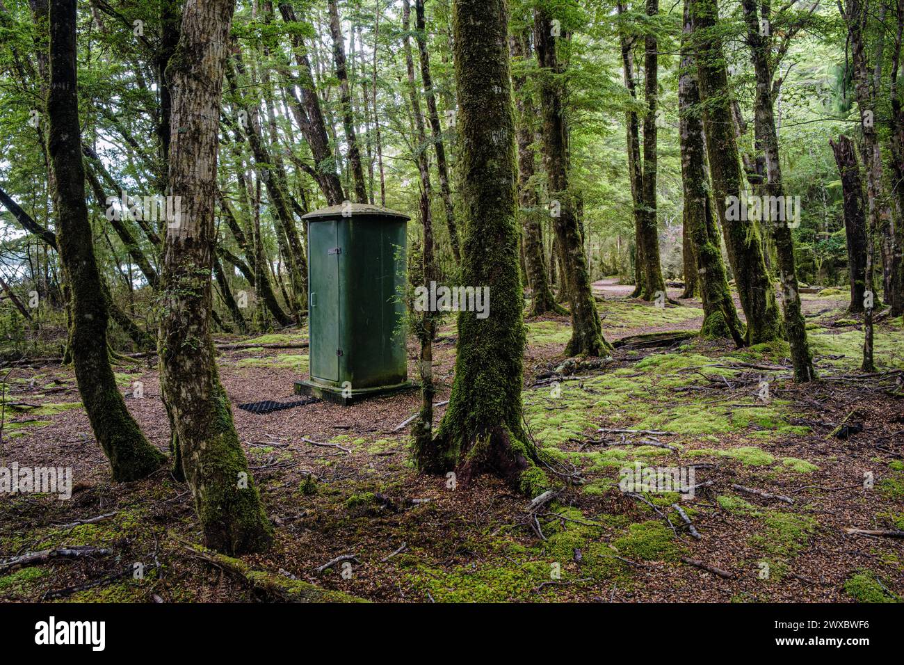 Eine öffentliche Toilette für Wanderer auf dem Kepler Track, Te Anau, Southland, Südinsel, Neuseeland Stockfoto