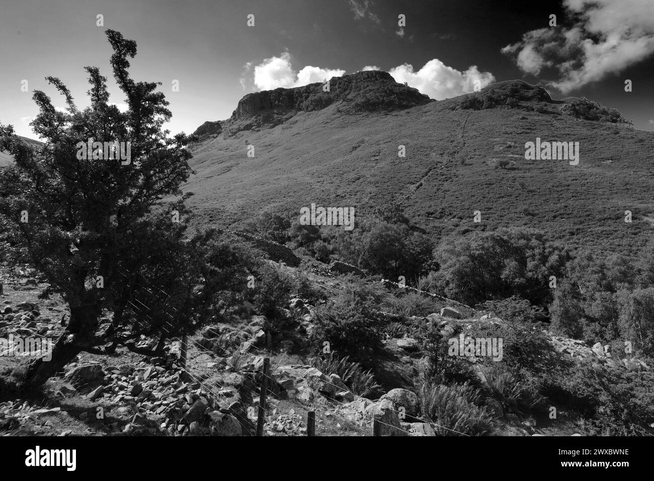 Blick auf Eagle Crag Fell, Stonethwaite Valley, Allerdale, Lake District National Park, Cumbria, England, UK Eagle Crag ist einer der Wainwright Fels von 214 Stockfoto