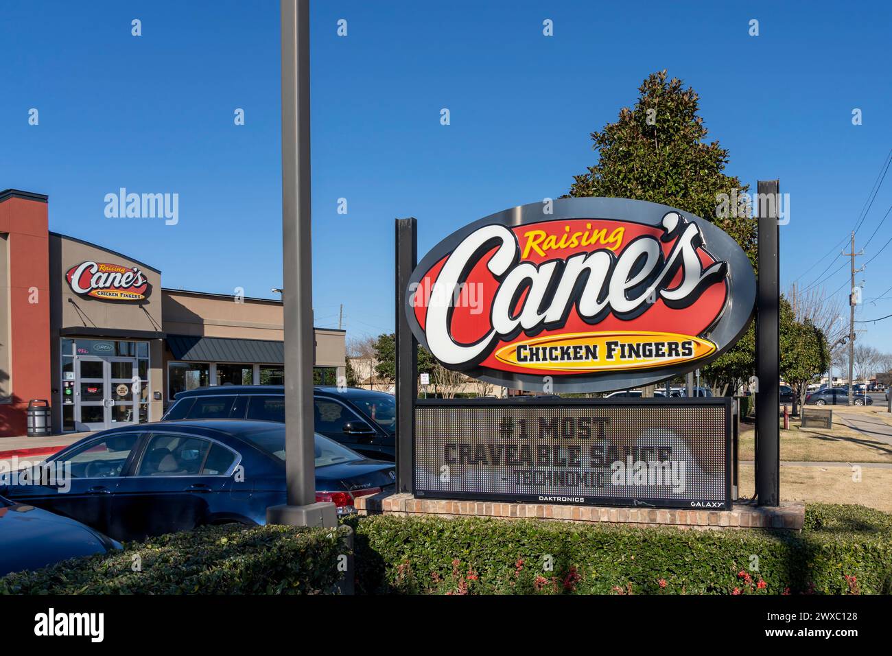 A Raising Cane's Chicken Fingers Restaurant in Pearland, Texas, USA. Stockfoto