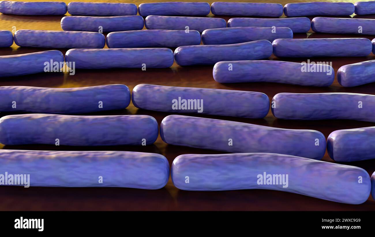 Anthrax ist eine tödliche bakterielle Erkrankung, die durch das Bacillus anthracis Bakterium, 3D-Rendering, verursacht wird Stockfoto