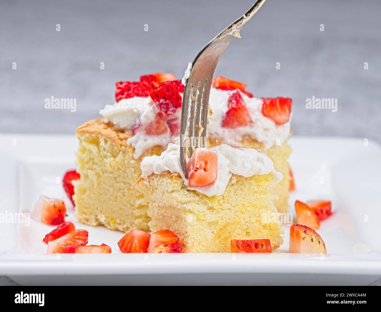 Ein Nahaufnahme eines Stücks hausgemachter Biskuitkuchen mit Schlagsahne und geschnittenen Srtawbeeren mit einer Gabel. Stockfoto