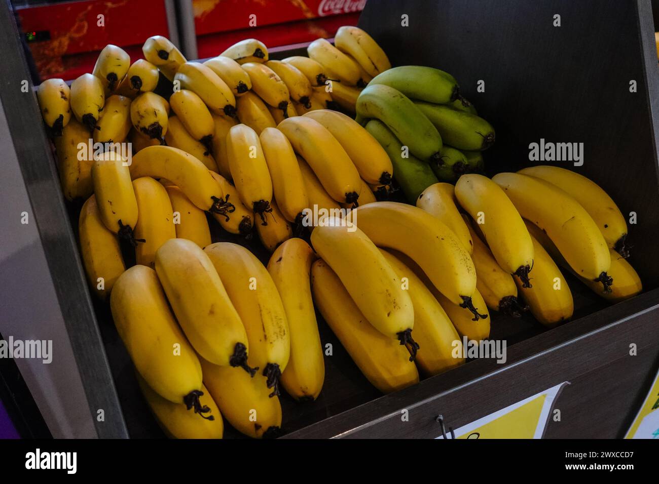 Bananen von Coffs Harbour sind bekannt für ihren außergewöhnlichen Geschmack und ihre Qualität aufgrund des einzigartigen Klimas und der Bodenbedingungen der Region. Das U-Boot der Gegend Stockfoto