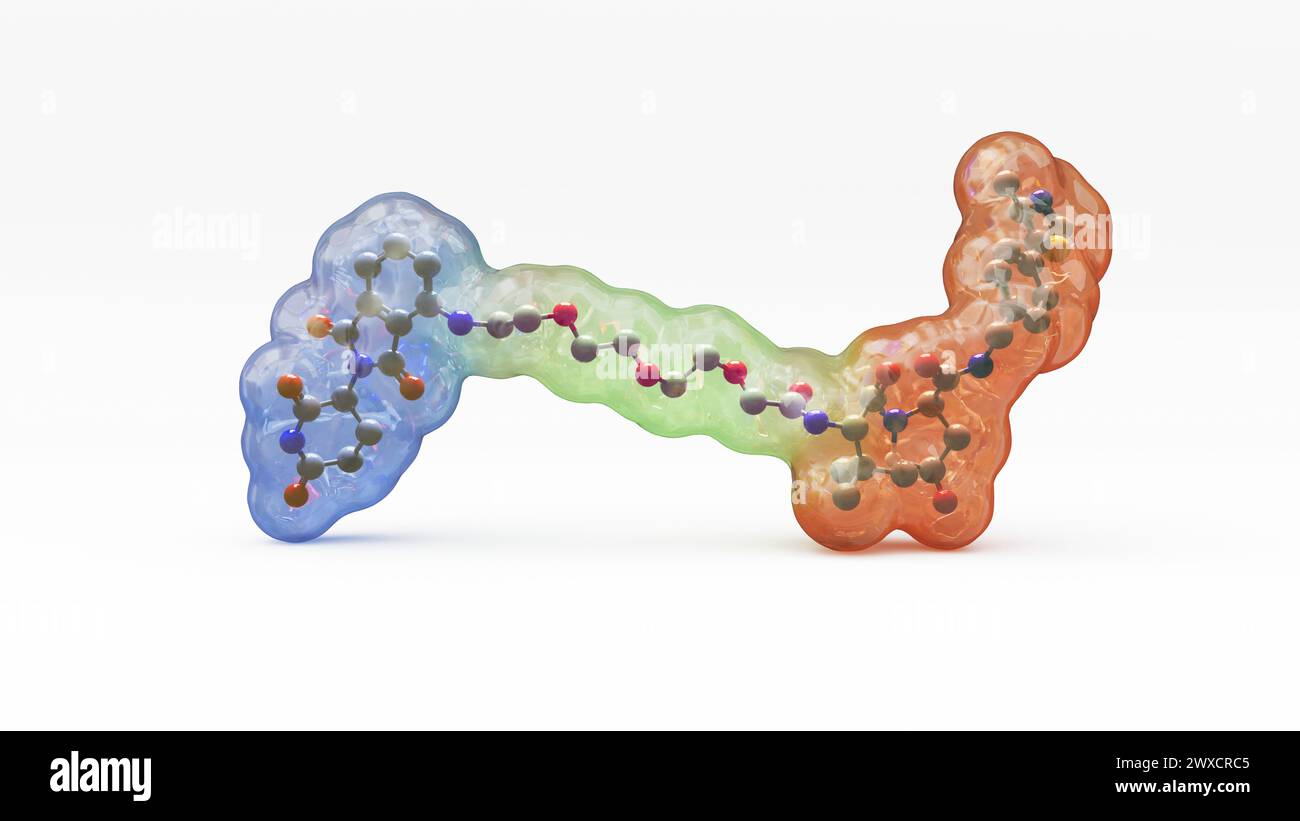 Abbildung der Struktur eines gezielten Proteinabbaumoleküls, z. B. einer Proteolyse-Targeting-Chimäre (PROTAC). Gezielte Proteinabbauer sind kleine Moleküle, die aus zwei Liganden (blau und orange) bestehen, die durch einen Linker (grün) verbunden sind. Ein Ligand rekrutiert ein Protein von Interesse, während der andere ein Protein-Ligase-Molekül rekrutiert, das zur Ubiquitylierung und anschließenden Abbau des Proteins von Interesse führt. Stockfoto