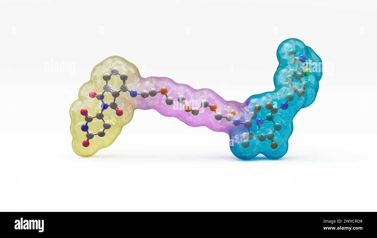 Abbildung der Struktur eines gezielten Proteinabbaumoleküls, z. B. einer Proteolyse-Targeting-Chimäre (PROTAC). Gezielte Proteinabbauer sind kleine Moleküle, die aus zwei Liganden (gelb und cyan) bestehen, die durch einen Linker (violett) verbunden sind. Ein Ligand rekrutiert ein Protein von Interesse, während der andere ein Protein-Ligase-Molekül rekrutiert, das zur Ubiquitylierung und anschließenden Abbau des Proteins von Interesse führt. Stockfoto