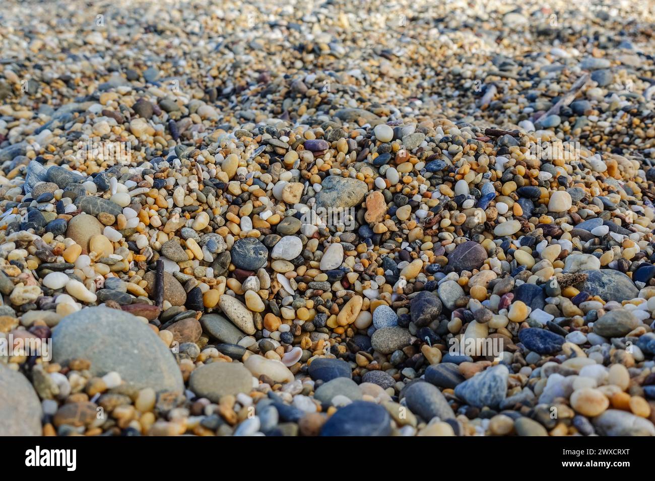 Kieselsteine an einem Strand in australien Stockfoto