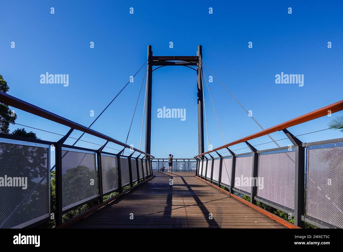 Der Forest Sky Pier in der Nähe von Coffs Harbour, Australien, bietet einen atemberaubenden Blick auf die umliegenden Regenwälder und die Küste. Stand 15 Meter ab Stockfoto