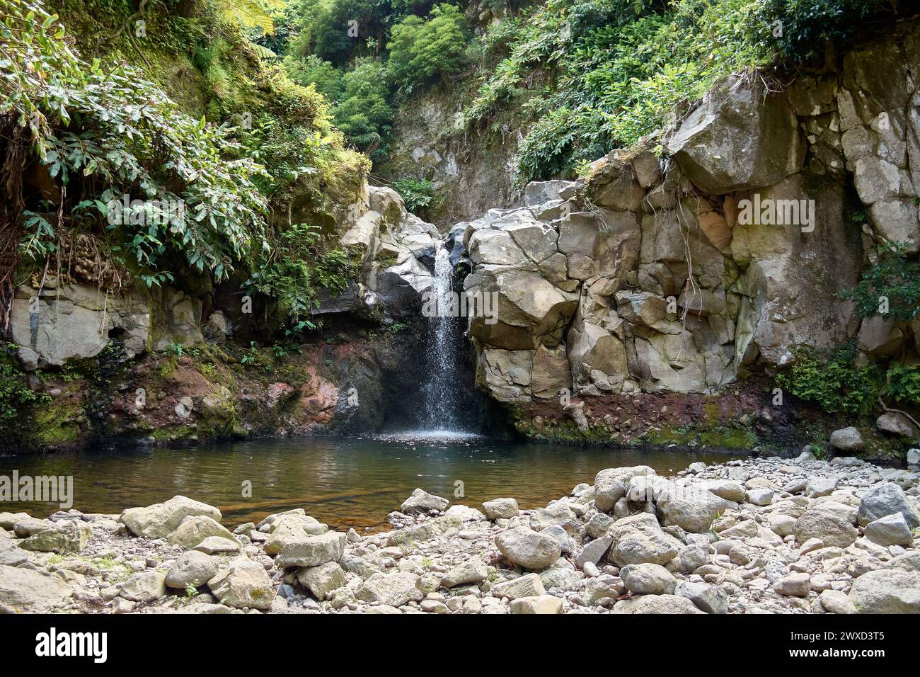 Kleiner Wasserfall, der einen kleinen See bildet, im Parque Natural da Ribeira Dos Caldeiroes, Sao Miguel, Azoren, Portugal. Stockfoto