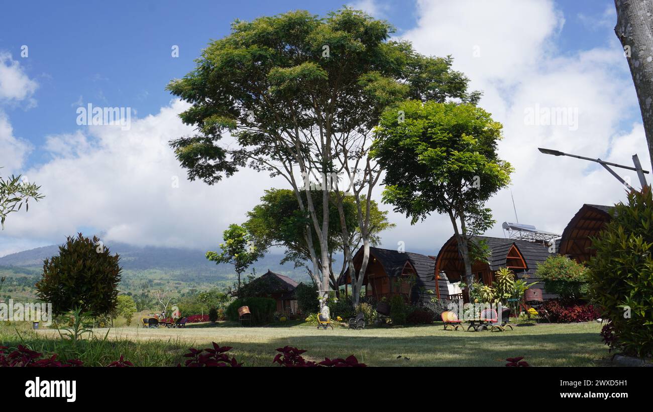 Großer hoher Baum mitten im Garten eines gasthauses in der Nähe des Mount Rinjani, Sembalun Gegend, Lombok am Morgen Stockfoto