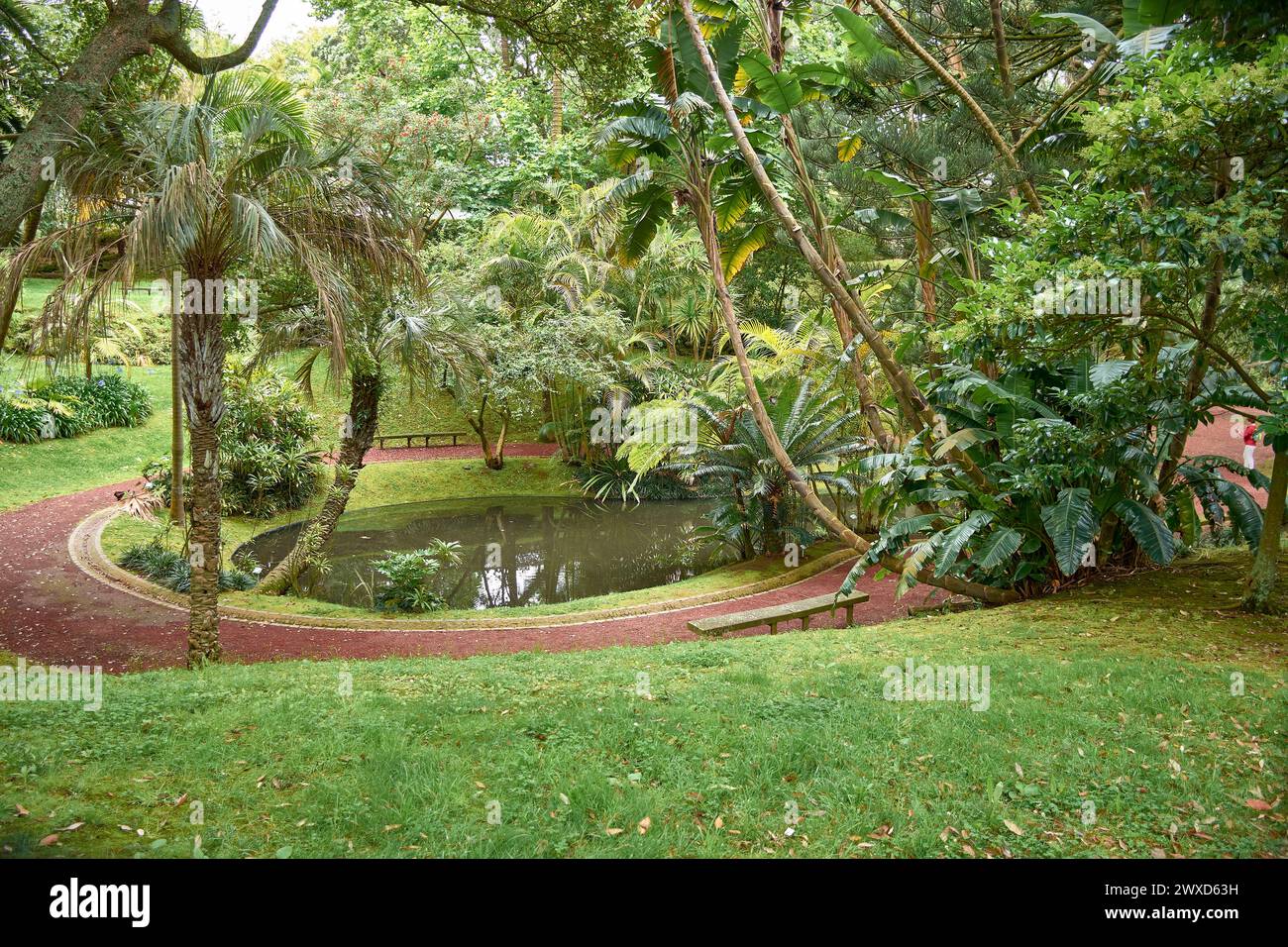 Jardim Botanico Antonio Borges. Ruhiger botanischer Garten auf den Azoren, Portugal, mit vielfältigen Pflanzenarten und ruhiger natürlicher Schönheit Stockfoto