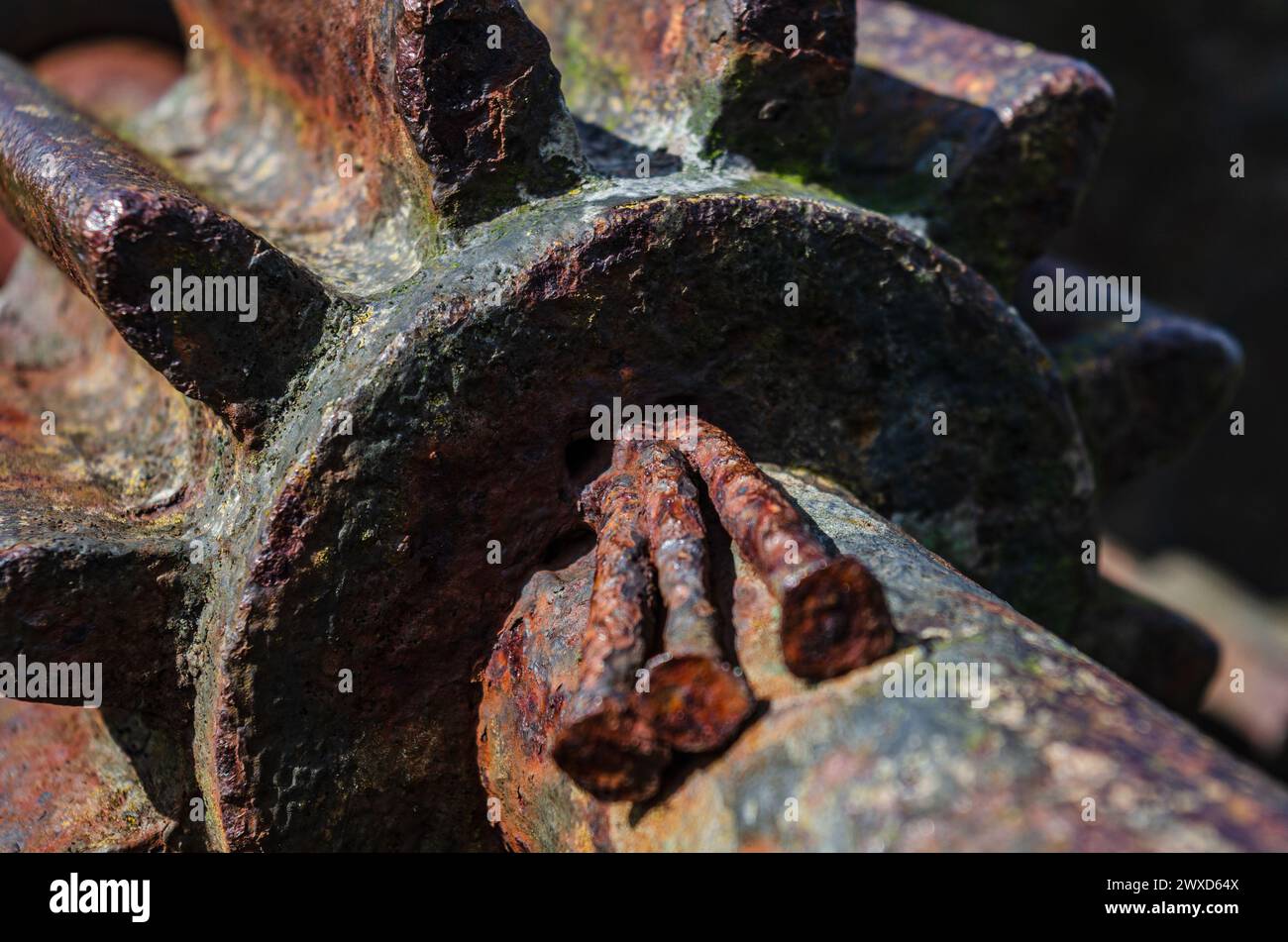 Nahaufnahme eines alten Zahnrads mit drei Nägeln, die als Bremse am Ufer des Strangford Lough eingeklemmt sind Stockfoto