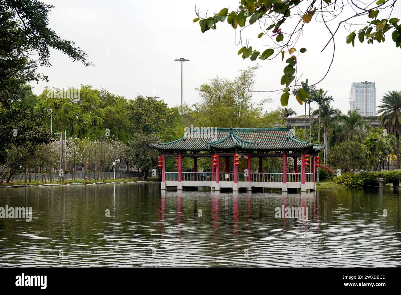 Ein chinesischer Pavillon, umgeben von grünem Laub in einem ruhigen Teich in Guangzhou, China. Stockfoto