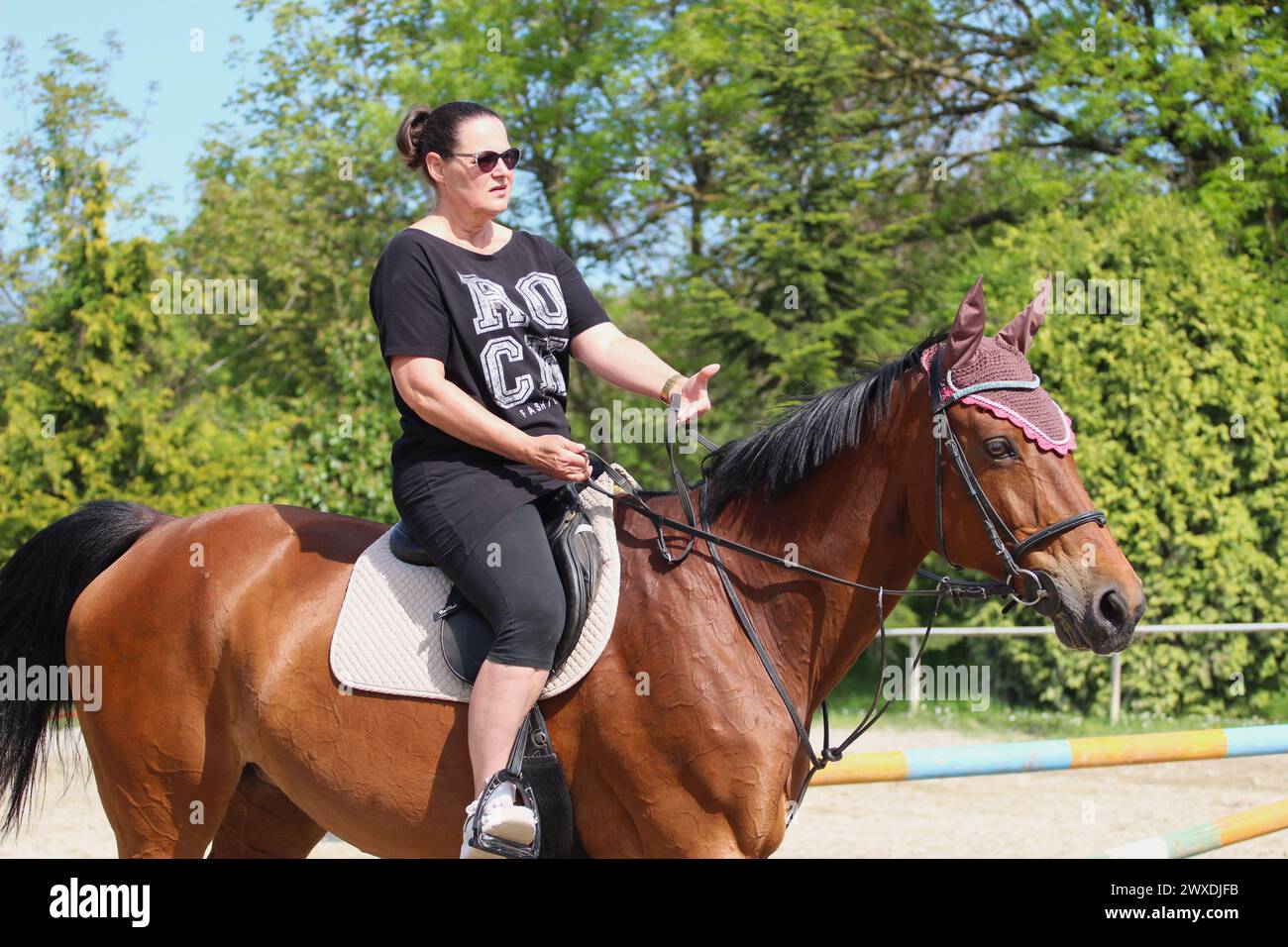 Erwachsene Frau, die in einem Reitclub auf einem Pferd reitet Stockfoto