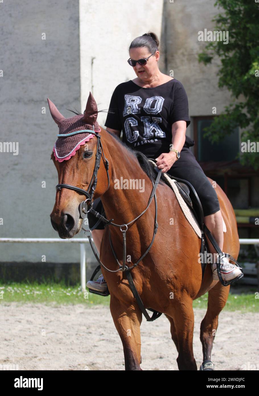 Erwachsene Frau, die in einem Reitclub auf einem Pferd reitet Stockfoto