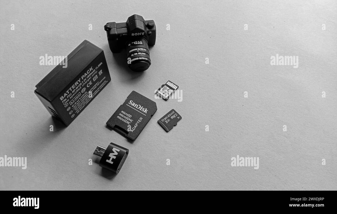 Wadaslintang, 24. Februar 2021, Fotospeicherkarte, Maus, Flash-Disk, Kamera-Akku, SD-Karte in schwarzer Speicherkarte, Maus, Blitz, Kamera-Akku, SD c Stockfoto